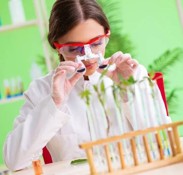 Beautiful female biotechnology scientist chemist working in lab — Stock Photo, Image