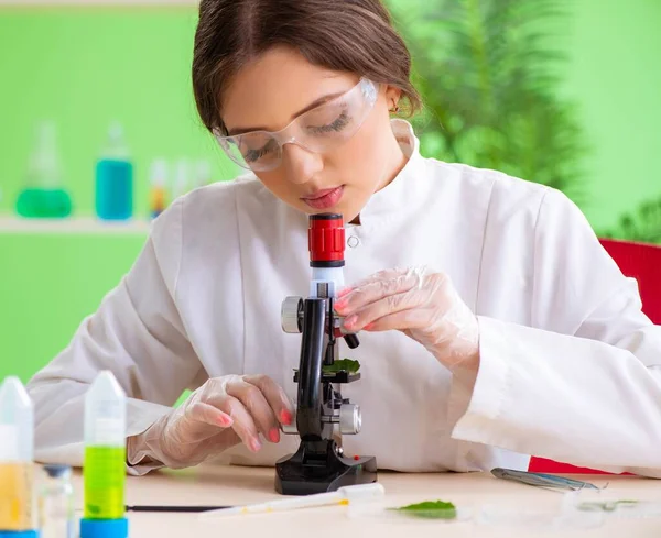 Όμορφη γυναίκα επιστήμονας βιοτεχνολογίας χημικός εργάζεται στο εργαστήριο — Φωτογραφία Αρχείου