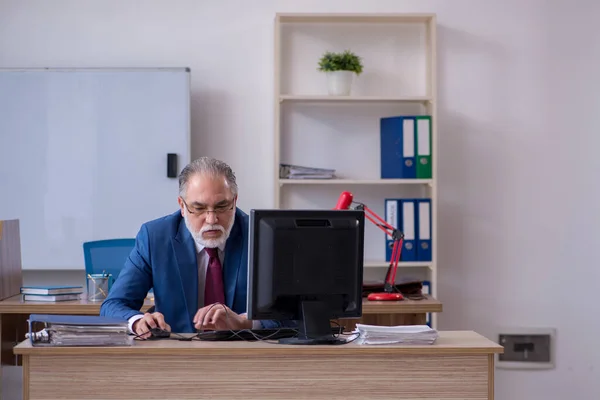 Velho empregado chefe do sexo masculino que trabalha no escritório — Fotografia de Stock