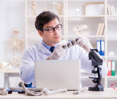 Profesör laboratuvarda insan iskeletini inceliyor.