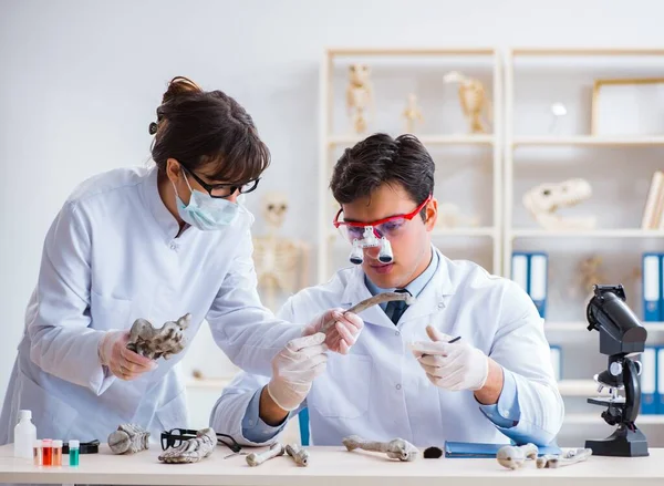 Profesor estudiando esqueleto humano en laboratorio — Foto de Stock