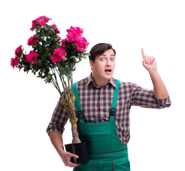 Genç bahçıvan beyazı izole etmiş.