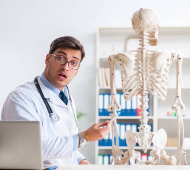 İskeleti beyaz olan Yong erkek doktoru.