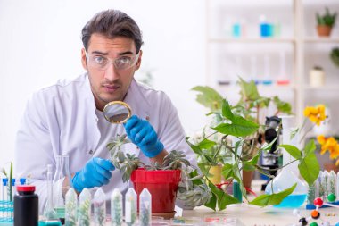 Laboratuvarda çalışan genç bir kimyager.