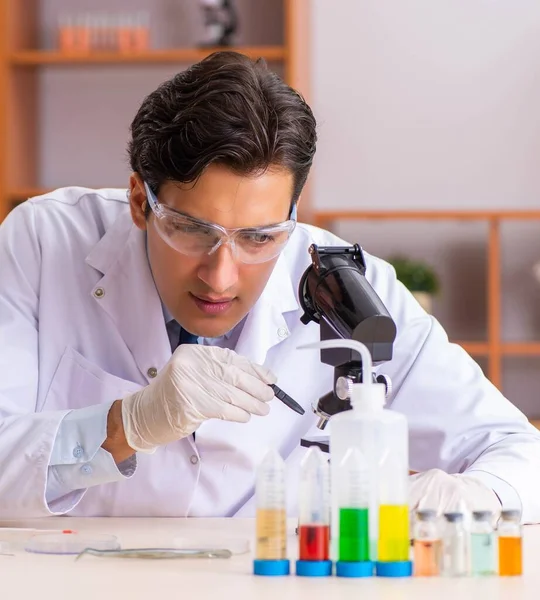 Joven bioquímico guapo trabajando en el laboratorio — Foto de Stock