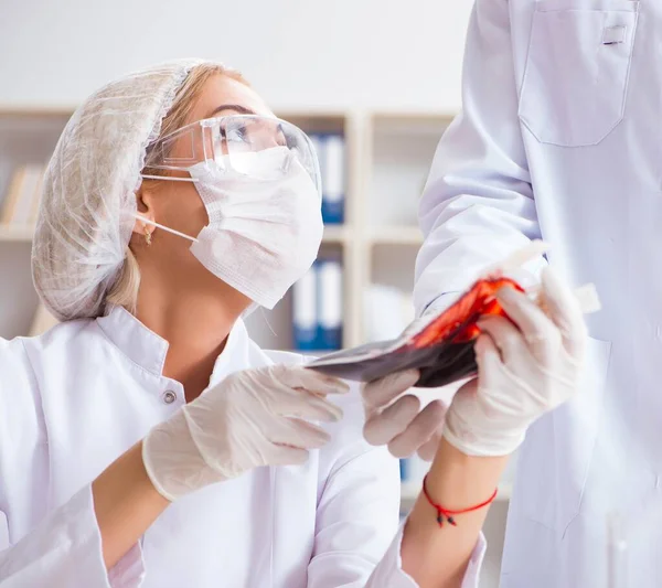 Mujer joven doctora en el laboratorio de la clínica del hospital —  Fotos de Stock