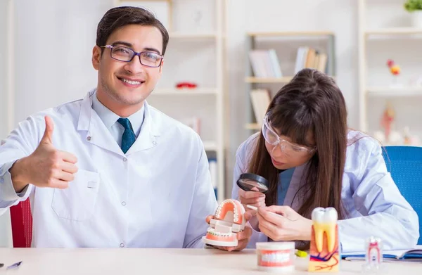 Zahnarzt erklärt studentische Zahnstruktur — Stockfoto