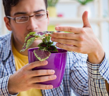 Çiçekçide çalışan genç bir adam.