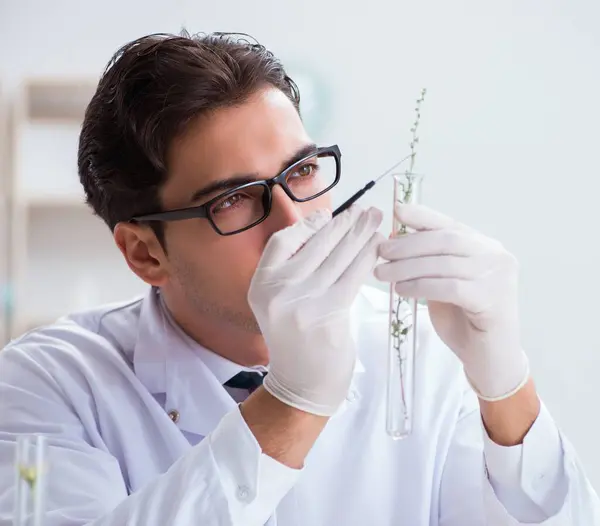 Chemik biotechnolog pracujący w laboratorium — Zdjęcie stockowe