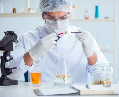 Laboratuvarda parfüm karıştıran bir kimyager.