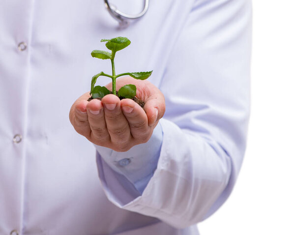 Scientist with green seedling in glass isolated on white