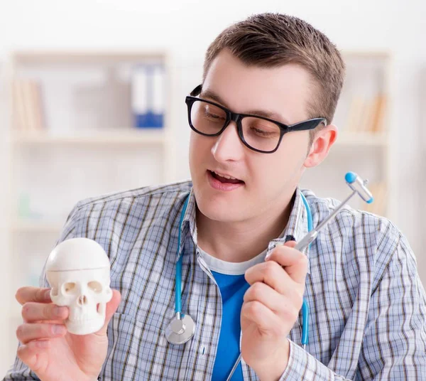 Estudante de medicina estudando esqueleto em sala de aula durante palestra — Fotografia de Stock
