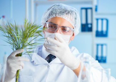 Laboratuvarda bilim adamıyla biyoteknoloji kavramı