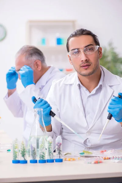 Two chemists working in the lab — Stock Photo, Image