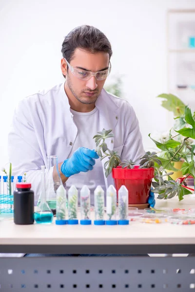 Laboratuvarda çalışan genç bir kimyager.