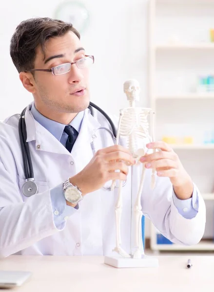 Az orvos elmagyarázza az emberi testet a csontvázon. — Stock Fotó
