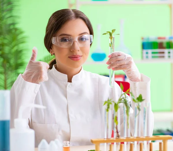 Bela mulher biotecnologia cientista químico trabalhando em laboratório — Fotografia de Stock