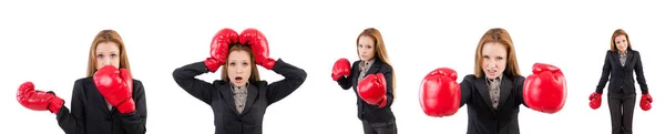 Mujer mujer de negocios con guantes de boxeo en blanco —  Fotos de Stock