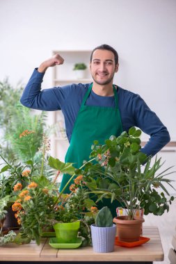 Evin içinde bitkileri olan genç bir erkek bahçıvan.