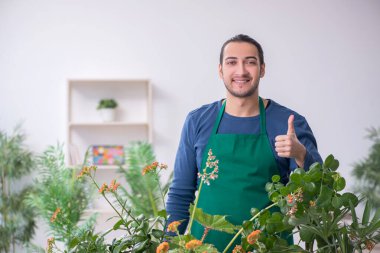 Evin içinde bitkileri olan genç bir erkek bahçıvan.