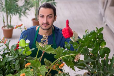 Evin içinde bitkileri olan genç bir erkek bahçıvan.