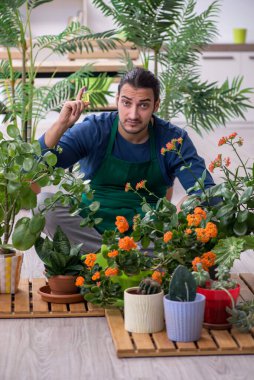 Evin içinde bitkileri olan genç bir erkek bahçıvan.
