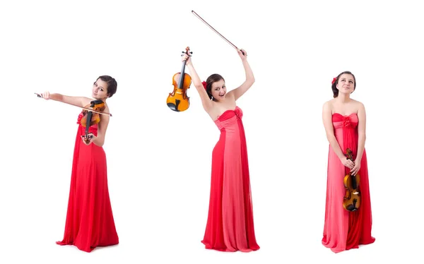 Young girl with violin on white — Stock Photo, Image