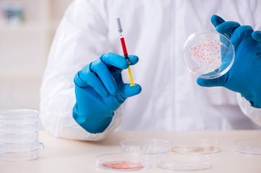 Laboratuvarda çalışan genç bir kimyager.