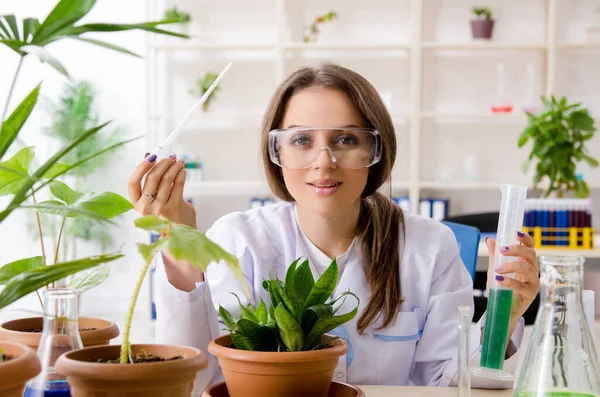 Joven química biotecnológica hermosa trabajando en el laboratorio — Foto de Stock