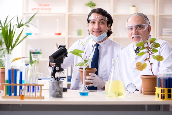 两名在实验室工作的化学家 — 图库照片