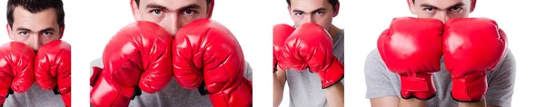 Boxeador preparándose para el torneo aislado en blanco — Foto de Stock