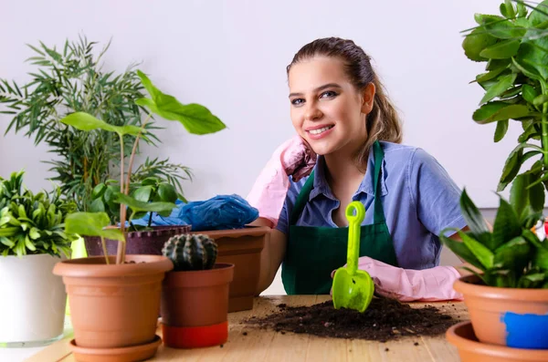 Jovem jardineiro feminino com plantas dentro de casa — Fotografia de Stock