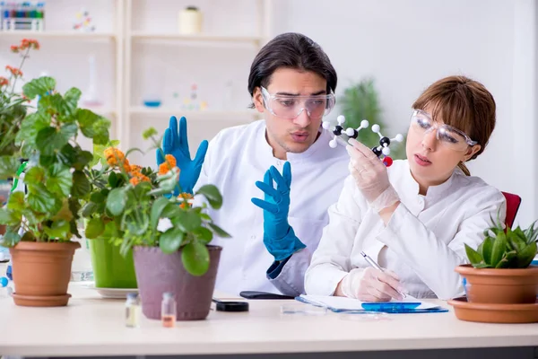 Due giovani botanici che lavorano in laboratorio — Foto Stock