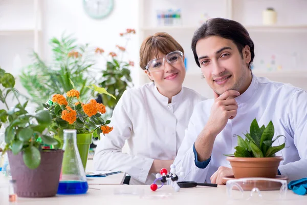 Dos jóvenes botánicos trabajando en el laboratorio —  Fotos de Stock