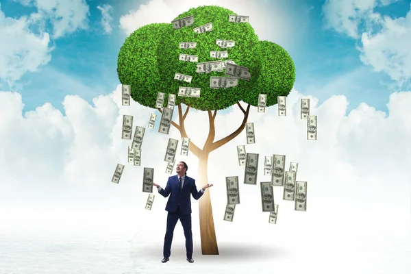 Uomo d'affari con albero dei soldi nel concetto di business — Foto Stock