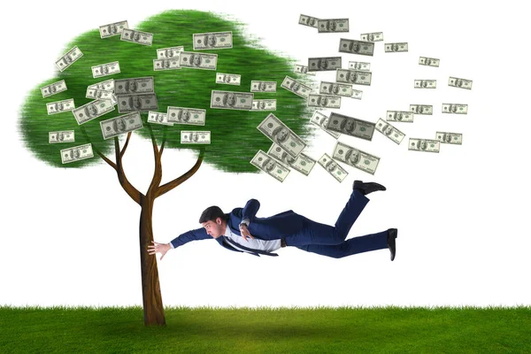 Empresario volado lejos del árbol del dinero — Foto de Stock