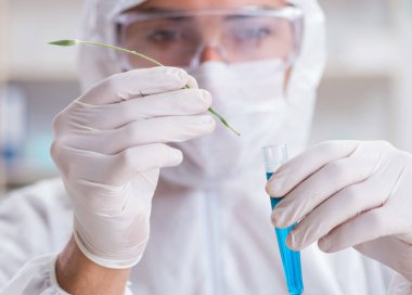 Biyoteknoloji bilim adamı kimyager laboratuarda çalışıyor.