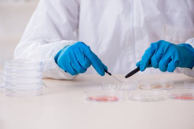 Laboratuvarda çalışan genç bir kimyager.