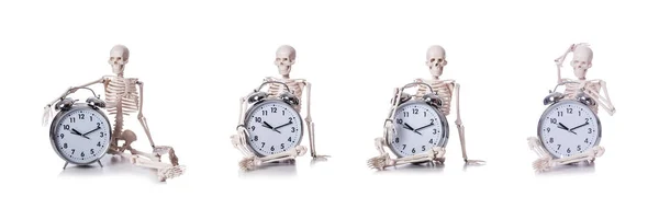 Beyaz üzerinde çalar saat olan iskelet. — Stok fotoğraf