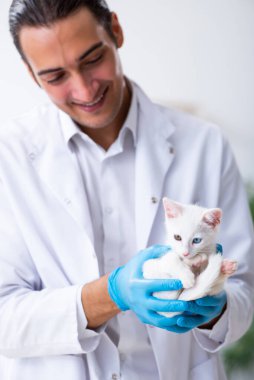 Genç erkek doktor hasta kediyi muayene ediyor.