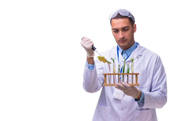 Young male chemist isolated on white — Stock Photo, Image