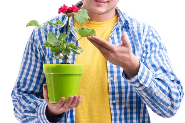Mladý muž s květináčem izolované na bílém — Stock fotografie