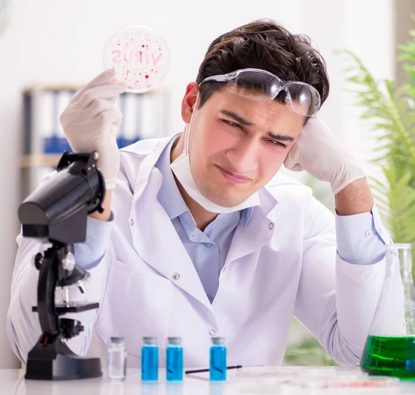 Male doctor working in the lab on virus vaccine — Stock Photo, Image