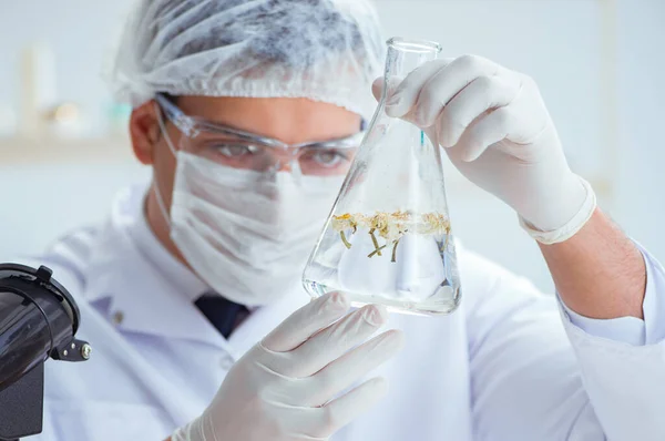 Chimiste mélangeant des parfums en laboratoire — Photo