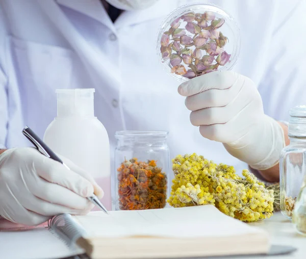 Chemist mixing perfumes in the lab