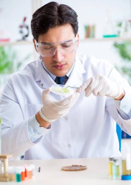 Bitkiler üzerinde çalışan erkek biyokimyacı.