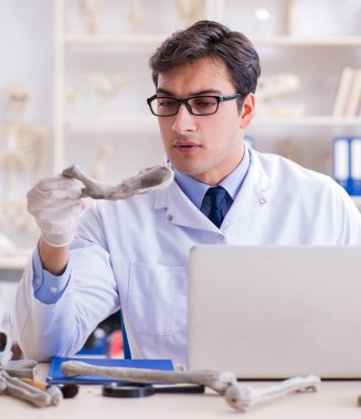 Profesör laboratuvarda insan iskeletini inceliyor.