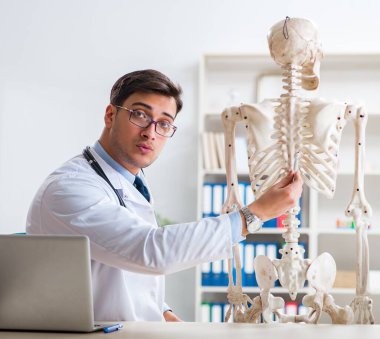 İskeleti beyaz olan Yong erkek doktoru.