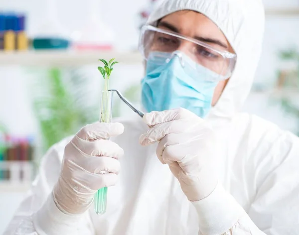 Männlicher Biochemiker arbeitet im Labor an Pflanzen — Stockfoto