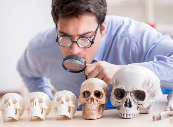 Funny crazy professor studying human skeleton — Stock Photo, Image